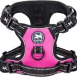 PoyPet 2019 Upgraded No Pull Dog Harness with 4 Snap Buckles, 3M Reflective with Front & Back 2 Leash Hooks and an Easy Control Handle [NO Need Go Over Dogs Head] (Pink,L)