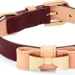 Luxury Italian Leather Dog Collar With Bow - Stylish, Durable, Comfortable for Small Medium Large X-Large Dogs (X-Large)