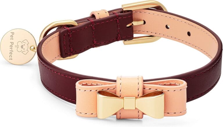 Luxury Italian Leather Dog Collar With Bow - Stylish, Durable, Comfortable for Small Medium Large X-Large Dogs (X-Large)