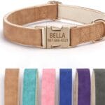Personalized Dog Collars Custom Pet Name and Phone Number Engraved Metal Buckle Leather Dog Collar Adjustable for XSmall,Small, Medium, Large Dogs