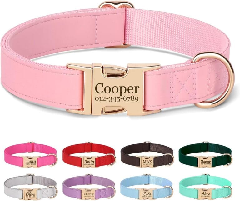 PET ARTIST Personalized Dog Collars, Custom Engraved Pink Dog Collar with Silent Name Tag, Gold Quick Released Buckle & Soft Nylon Padded, Elegant Colors & Matching Leash for Small Dogs,S Fit 9-14"