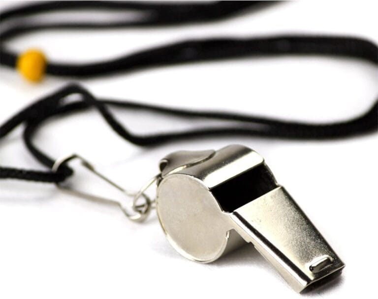 Crown Sporting Goods Stainless Steel Whistle with Lanyard  Great for Coaches, Referees, and Officials