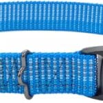 Coastal Pet - K-9 Explorer - Brights Reflective Adjustable Dog Collar, Lake, 5/8" x 10"-14"