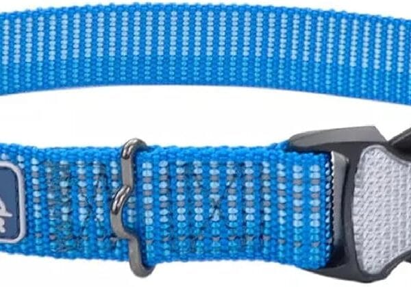 Coastal Pet - K-9 Explorer - Brights Reflective Adjustable Dog Collar, Lake, 5/8" x 10"-14"
