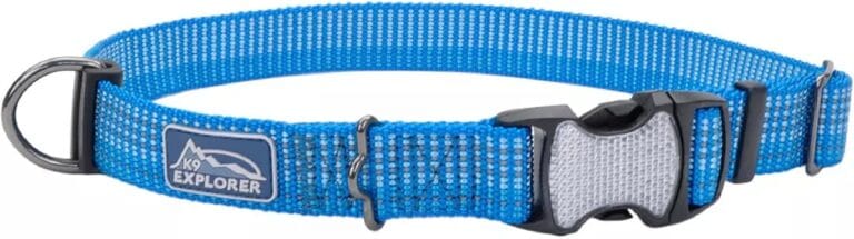 Coastal Pet - K-9 Explorer - Brights Reflective Adjustable Dog Collar, Lake, 5/8" x 10"-14"