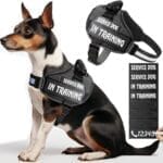Service Dog Vest,8 Dog Patches No-Pull Service Dog Harness with Handle,Personalized Reflective Dog Vests with 1 Pen Custom Name,Phone Number,Pattern,Easy Control for Small Medium Large Pets