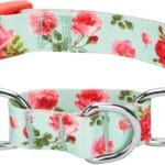 Blueberry Pet Spring Scent Inspired Rose Print Martingale Safety Training Dog Collar, Turquoise, Small, Heavy Duty Adjustable Collars for Dogs