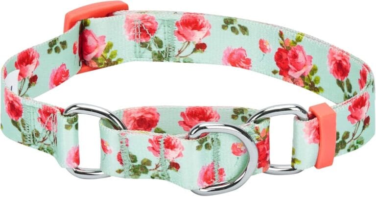 Blueberry Pet Spring Scent Inspired Rose Print Martingale Safety Training Dog Collar, Turquoise, Small, Heavy Duty Adjustable Collars for Dogs
