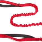 Bungee Dog Leash with Shock Absorption, Dual Handles for Pull Control, Reflective Nylon, Zinc Alloy Hook, D-Ring for Poop Bags, Red, L