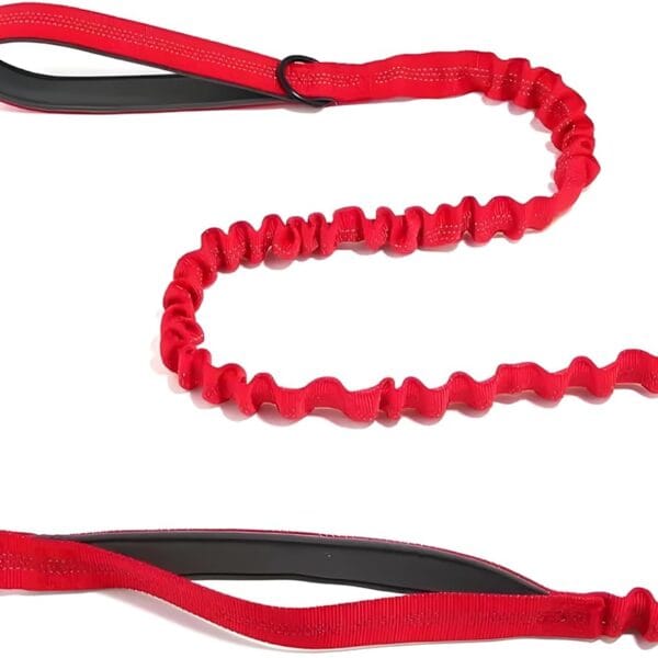 Bungee Dog Leash with Shock Absorption, Dual Handles for Pull Control, Reflective Nylon, Zinc Alloy Hook, D-Ring for Poop Bags, Red, L