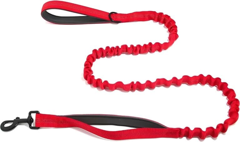 Bungee Dog Leash with Shock Absorption, Dual Handles for Pull Control, Reflective Nylon, Zinc Alloy Hook, D-Ring for Poop Bags, Red, L