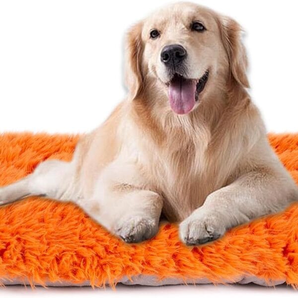 Machine Washable Dog Bed, Deluxe Plush Dog Crate Pad and Cat Bed, Anti-Slip Bottom Kennel Pad Mat, Fuzzy Pet Beds for Large, Medium, Small Dogs Breeds (Orange, 24.0" L x 18.0" W x 3.0" Th x 1 Pack)