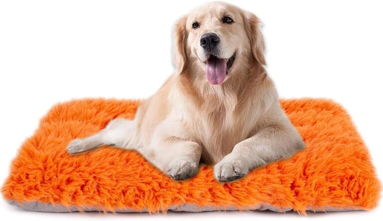 Machine Washable Dog Bed, Deluxe Plush Dog Crate Pad and Cat Bed, Anti-Slip Bottom Kennel Pad Mat, Fuzzy Pet Beds for Large, Medium, Small Dogs Breeds (Orange, 24.0" L x 18.0" W x 3.0" Th x 1 Pack)