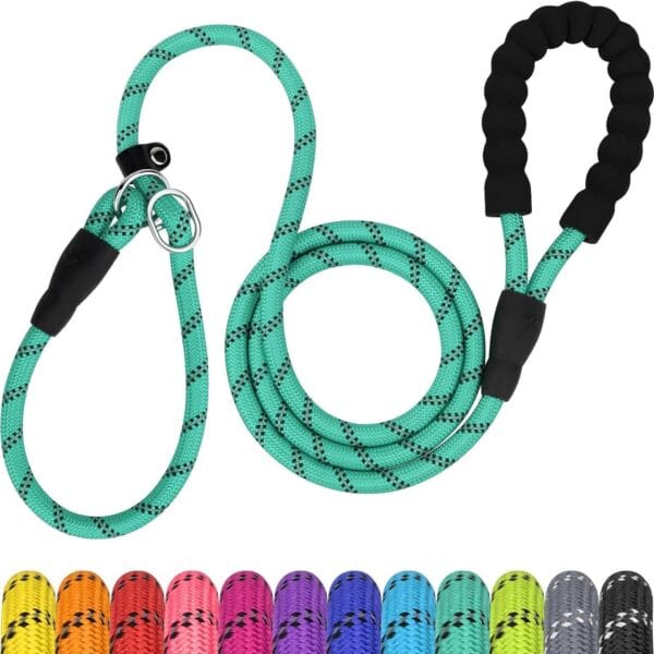 TagME Slip Leads for Dogs, 6 FT Heavy Duty Dog Leash with Padded Handle, Strong Rope No Pull Pet Training Leash for Medium Dogs,Turquoise