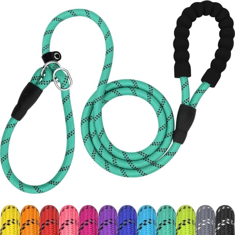TagME Slip Leads for Dogs, 6 FT Heavy Duty Dog Leash with Padded Handle, Strong Rope No Pull Pet Training Leash for Medium Dogs,Turquoise