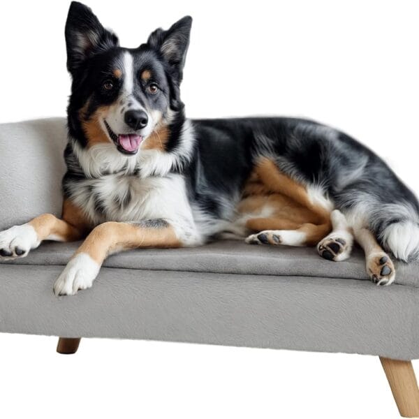 PawHut Dog Sofa Bed, Elevated Pet Sofa with Foam Cushion, Soft Pillow, Removable & Washable Covers, with Non-Slip Foot Pads, Cat Couch for Medium Dogs, Light Gray