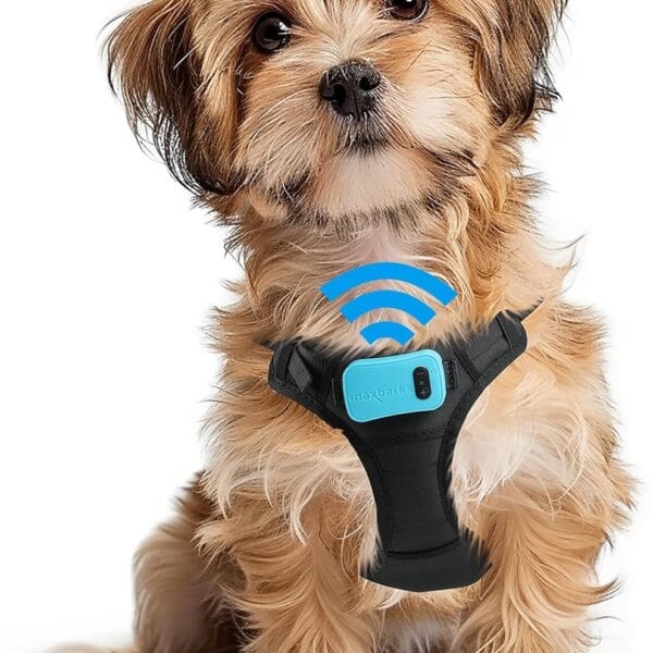 Bark Control Training Vest for Small Dogs - Rechargeable No Barking Device for Dogs - Bark Deterrent with 5 Sensitivity Levels, Adjustable Straps, D-Ring - No False Alarms or Throat Prongs