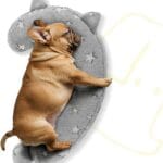 Dog Calming Pillow, Glow in The Dark Dog Put Head on, Soft Question Mark Pillows for Dogs, Kids, Adults, Washable Dog Bed Pillow, Cozy Dog Body Pillow (M Gray)