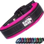Black Rhino Dog Collars for Medium Dogs - Adjustable Reflective Heavy Duty Dog Collar with Ultra-Soft Neoprene Padding - Weatherproof, Durable, and Comfortable - Ideal for Active Dogs - Pink and Black
