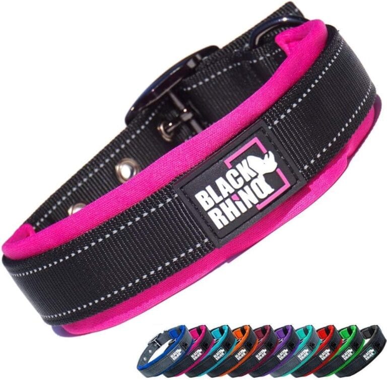 Black Rhino Dog Collars for Medium Dogs - Adjustable Reflective Heavy Duty Dog Collar with Ultra-Soft Neoprene Padding - Weatherproof, Durable, and Comfortable - Ideal for Active Dogs - Pink and Black