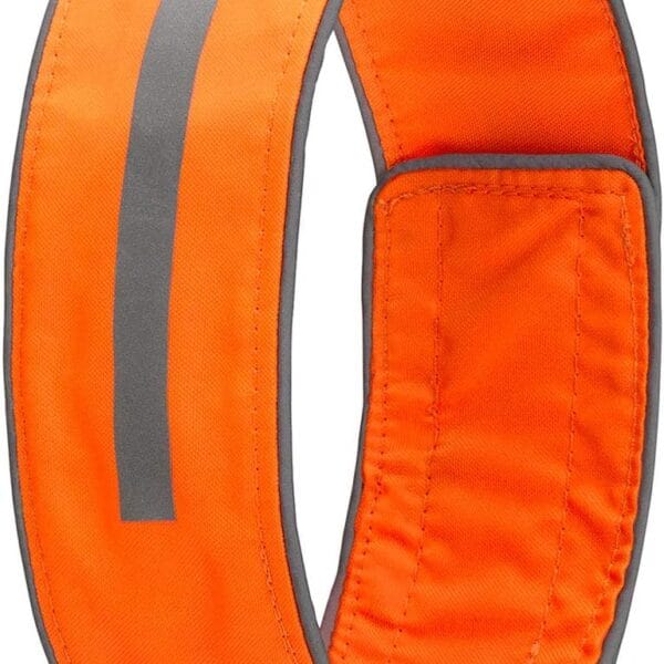 SPOT THE DOG! Reflective Dog Collar - Adjustable Pet Collars, Safe, Durable, Comfortable Dog Walking Accessories for Small Dog, Hunting Dog, Puppy, Lightweight Boy, Girl Dog Collars (Blaze Orange, S)