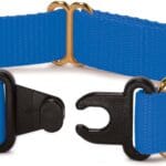 PetSafe KeepSafe Collar for Dogs - Protects Against Collar Accidents - Long Lasting - Durable - Adjustable - Breakaway - Outdoor-Safe - Large - 1 in. Wide - Blue