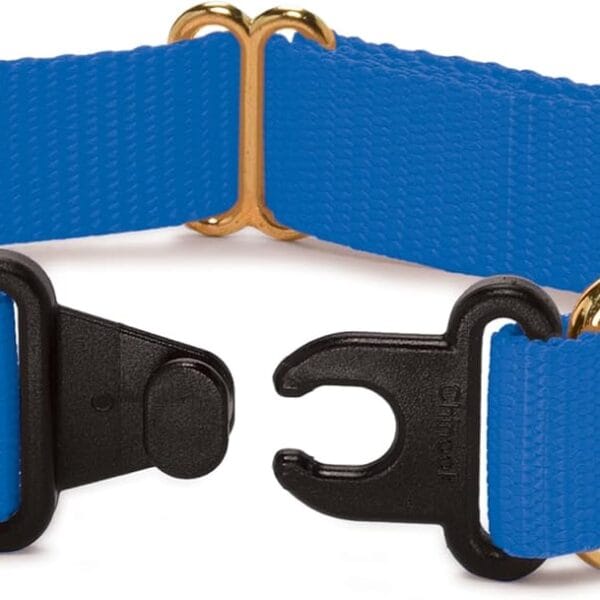 PetSafe KeepSafe Collar for Dogs - Protects Against Collar Accidents - Long Lasting - Durable - Adjustable - Breakaway - Outdoor-Safe - Large - 1 in. Wide - Blue