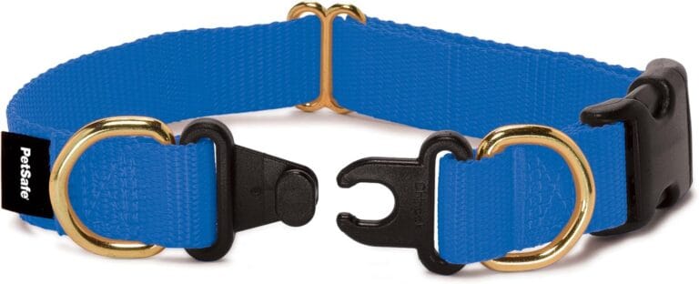 PetSafe KeepSafe Collar for Dogs - Protects Against Collar Accidents - Long Lasting - Durable - Adjustable - Breakaway - Outdoor-Safe - Large - 1 in. Wide - Blue