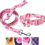 DQGHQME Dog Collar and Leash Set Girls 4ft/Foot Pink Dog Leash and Collar Adjustable Dog Harness and Leash Set Puppy Collars with Beautiful Floral Bow Tie for Small Medium Large Female Dogs,Rose Pink