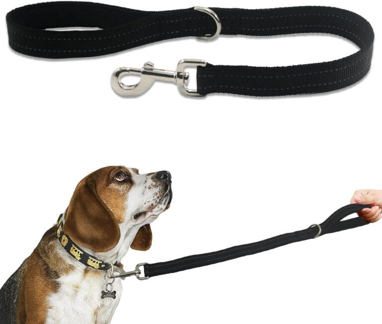 Nylon Short Leash 24 Inches Durable Dog Lead with Handle, Heavy Duty Padded Handle and D-Ring for Control, Traffic Leash 2FT Long for Small to Large Sized Dogs Training Black