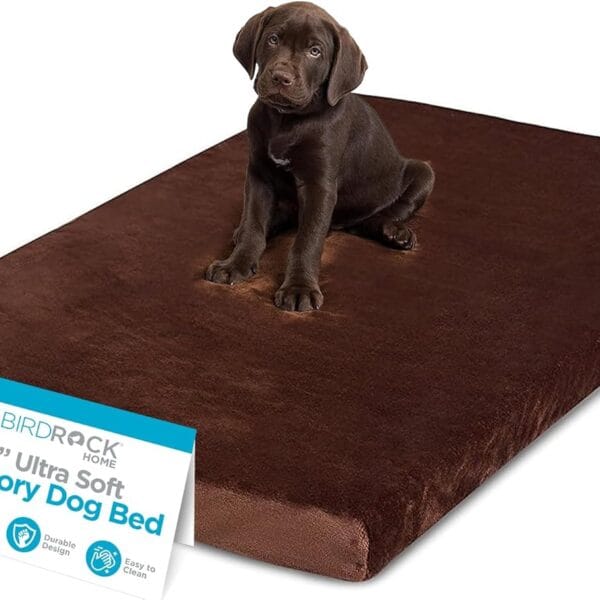 BIRDROCK HOME 2" Memory Foam Dog Beds | Ultra Soft Plush Pet Bed | Removable Cover | Pet | Crate Bed (40 X 26, Brown)