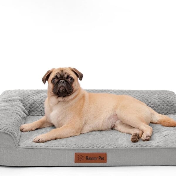 Orthopedic Dog Bed Medium Size Dog, Memory Foam Pet Bed for Medium Dogs, Washable Removable Cover, Nonskid Bottom, Waterproof, 35x23x6 Inches, Light Grey