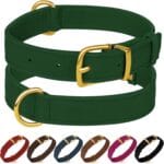 Leather Dog Collar - Heavy Duty Adjustable Soft Padded Pet Collars for Small Medium Large Dogs Breed - Black Green Brown Pink Red Blue (Green, M, 12"-15" Neck Fit)