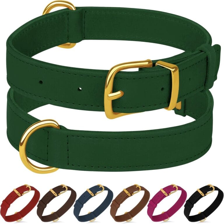Leather Dog Collar - Heavy Duty Adjustable Soft Padded Pet Collars for Small Medium Large Dogs Breed - Black Green Brown Pink Red Blue (Green, M, 12"-15" Neck Fit)