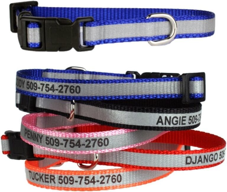 GoTags Extra Small Personalized Reflective Dog Collars, Custom Engraved with Pet Name and Phone Number, Adjustable Dog Collar with Quick Release Buckle for Small and Extra Small Dogs