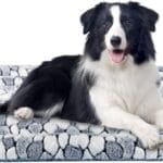 VANKEAN Dog Crate Pad Bed Mat Reversible (Warm & Cool), Soft Pet Sleeping Mat Dog Bed for Crate Suitable for Small to XX-Large Dogs and Cats, Machine Washable Crate Beds, Grey Stone Pattern