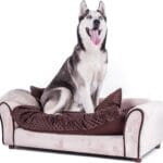Keet Westerhill Pet Sofa Bed, Khaki, Large