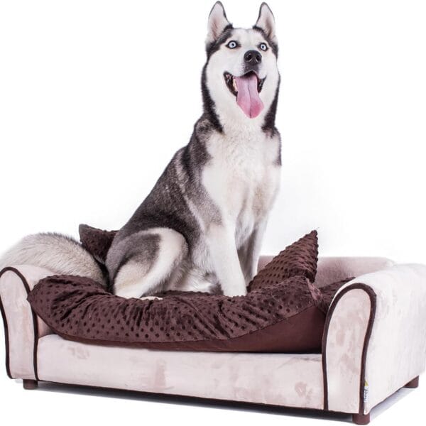 Keet Westerhill Pet Sofa Bed, Khaki, Large