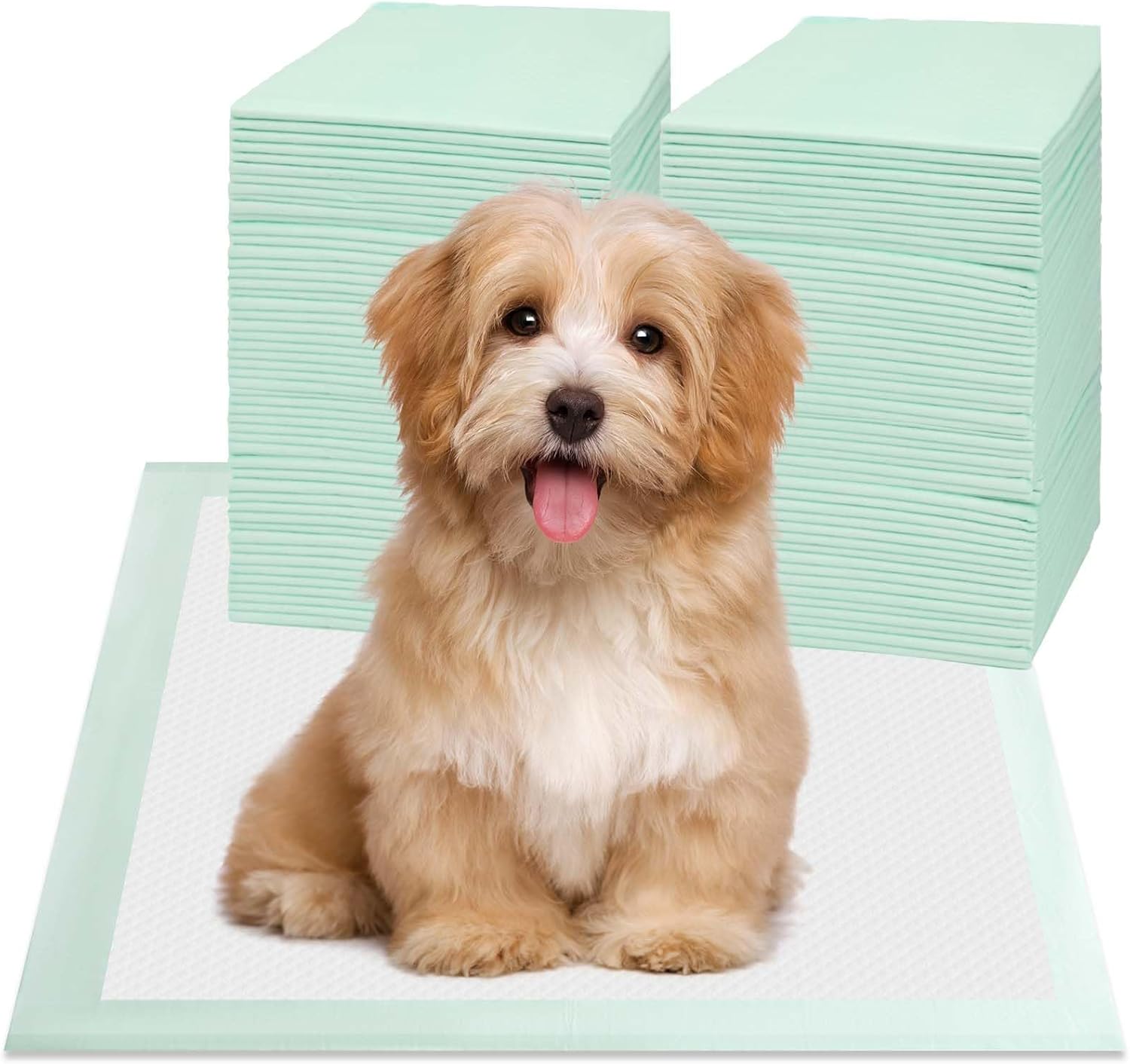 Puppy Pee Pads 100PCS Disposable Pet Toilet Training Pads 18" x 13" for Dogs, Ultra Absorbent|Quick Dry|Leak-Proof Pet Potty Pads for Dog, Cat, Rabbits and Guinea Pigs (Green) Puppy Pee Pads 100PCS Disposable Pet Toilet Training Pads 18" x 13" for Dogs, Ultra Absorbent|Quick Dry|Leak-Proof Pet Potty Pads for Dog, Cat, Rabbits and Guinea Pigs (Green)