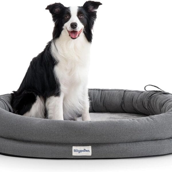 Orthopedic Dog Bed for Large Dogs, Pet Sofa Bed with Egg Crate Foam, 4-Sided Bolster, Removable Washable Cover & Anti-Slip Bottom, X-Large Dark Gray