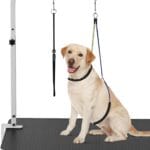 Artibear Dog Grooming Arm with Clamp for Small Dog, Adjustable Height to 33in, Pet Grooming Arm for Table with 1 Loop Noose & 2 No Sit Haunch Holder for Home & Store Nail Trimming (Table Not Include)