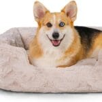 Best Friends by Sheri Lux Lounge Bed Calming Faux Fur Dog Bed, Oyster, Cream, Medium, 30" x 20"
