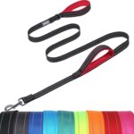 VIVAGLORY Twingrip Dog Leash, Double Handle Dog Leash for Training & Walking with Traffic Handle & 2 Loop, Traffic Control Reflective Heavy Duty for Puppy Pet, 4ft x 1in, Black