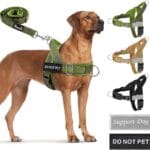 SlowTon No Pull Dog Harness - Heavy Duty Dog Harness and Leash Set for Medium Large Dogs, Reflective Tactical Harness with Soft Padded and Front Clip for Easy Walk and Training (Green L)