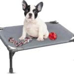 Elevated Dog Bed Raised Dog Bed Cot Bed Small Medium Large Dogs Outdoor Cooling Pet Cat Bed Breathable Mesh Washable (Small, Grey, 22''L x 17''W)