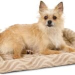 MidWest Homes for Pets QuiteTime Deluxe Wave Bolster Bed for Small Dogs; Easily Machine Wash and Dry; Tan; 24"; 40224-WVTN