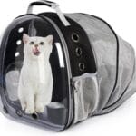 Cat Backpack Carrier Expandable Ventilate Transparent Pet Dog Backpack for Large Cats Hiking, Travel, Outdoor, Airline-Approved Space Capsule Backpack,Black