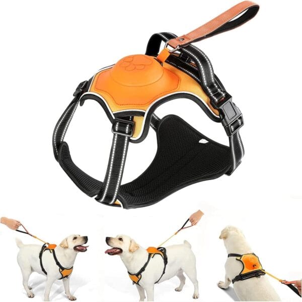 2-in-1 No Pull Dog Harness & Retractable Leash - Large Dog Harness with Auto-Lock, Reflective & Adjustable-L