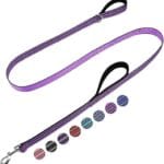 Purple Dog Leash 6 FT with Two Padded Soft Handles,Reflective Training Lead for Medium and Large Dogs