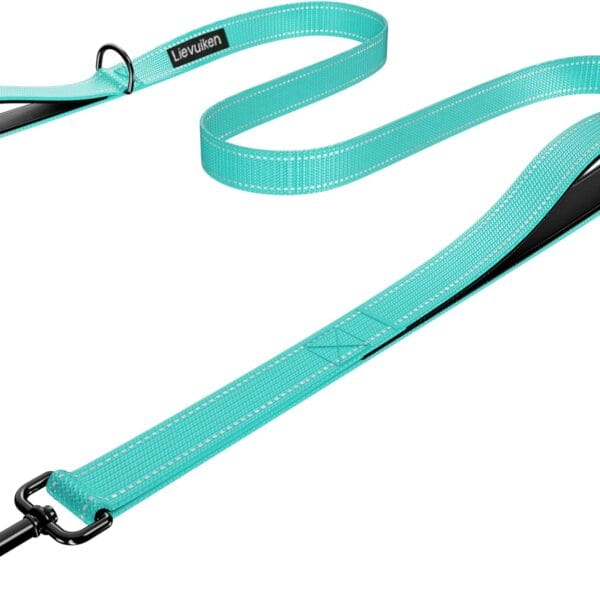 Dog Leash 5ft Long, Double Handle Dog Leash for Safety Control Training, Heavy Duty Dog Leads with Traffic Padded Handles, Reflective Leashes for Small Medium Large Dogs(5ft, Turquoise)